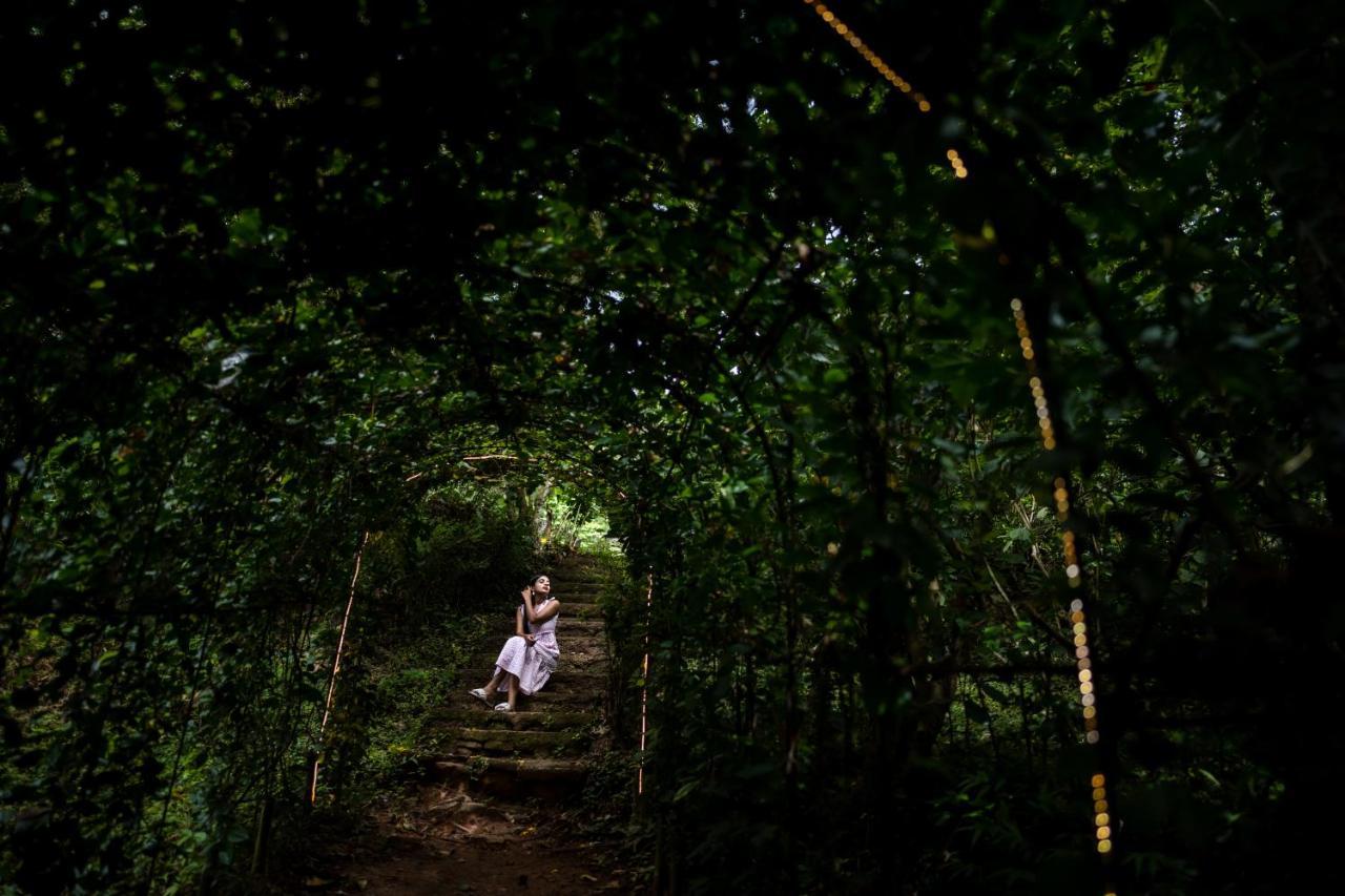 Raindrops Resorts Wayanad Sultan Bathery Exteriér fotografie