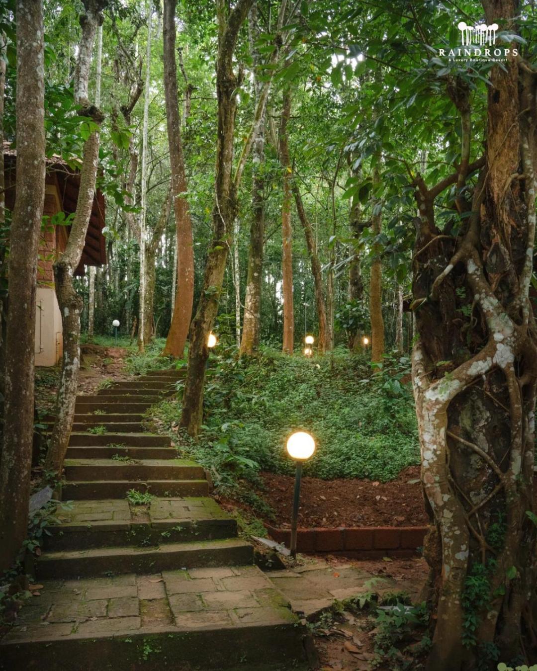 Raindrops Resorts Wayanad Sultan Bathery Exteriér fotografie