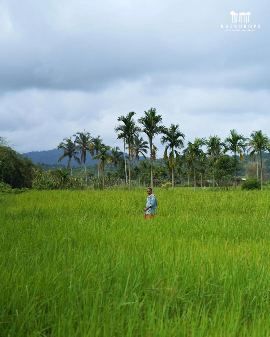 Raindrops Resorts Wayanad Sultan Bathery Exteriér fotografie