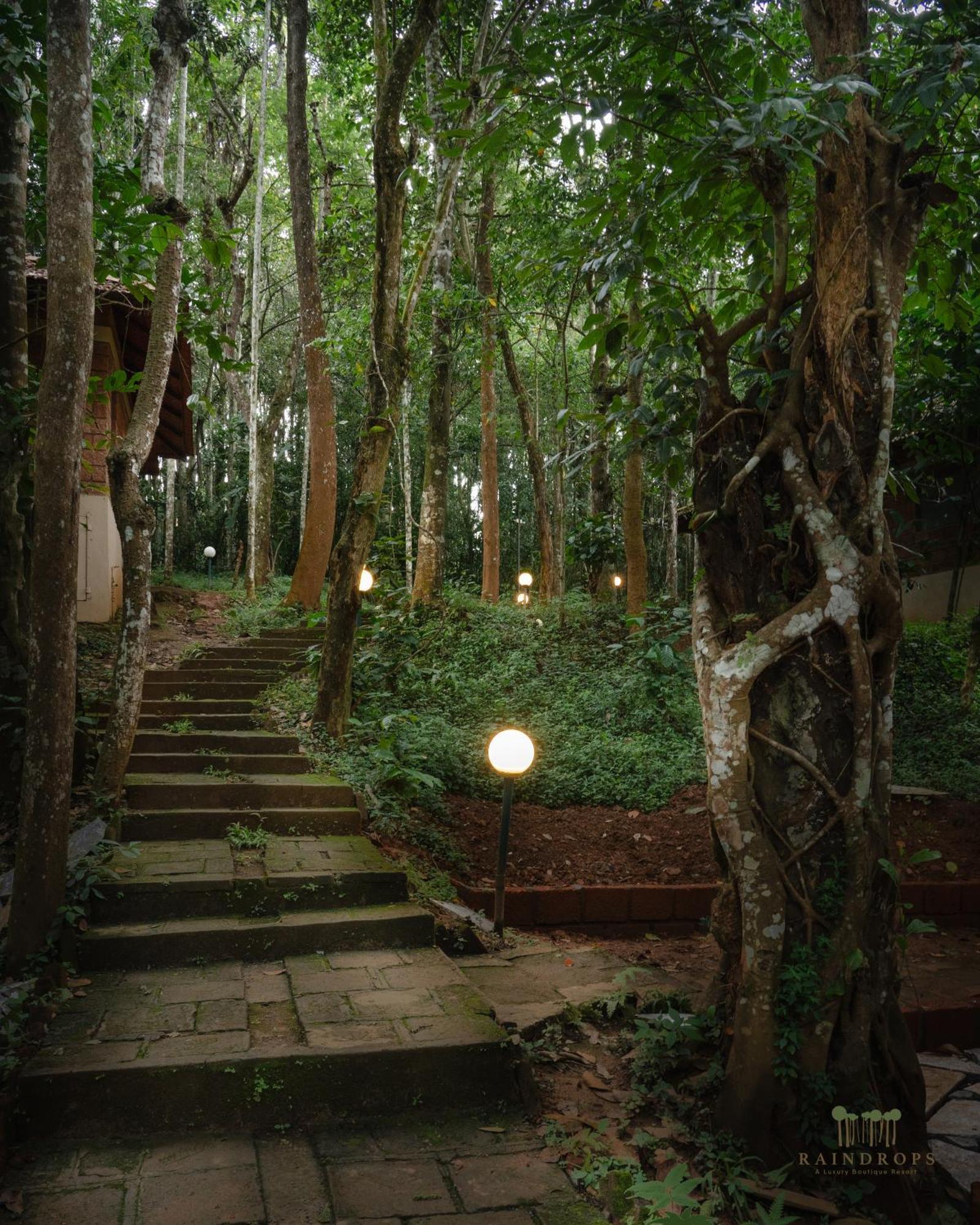 Raindrops Resorts Wayanad Sultan Bathery Exteriér fotografie